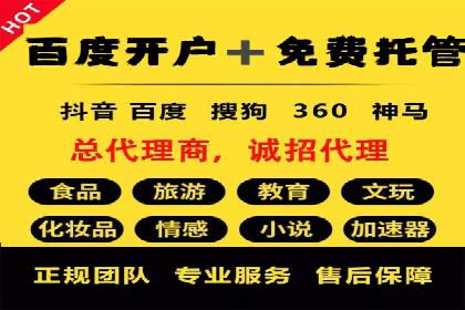 百度推广在旅游行业的应用案例